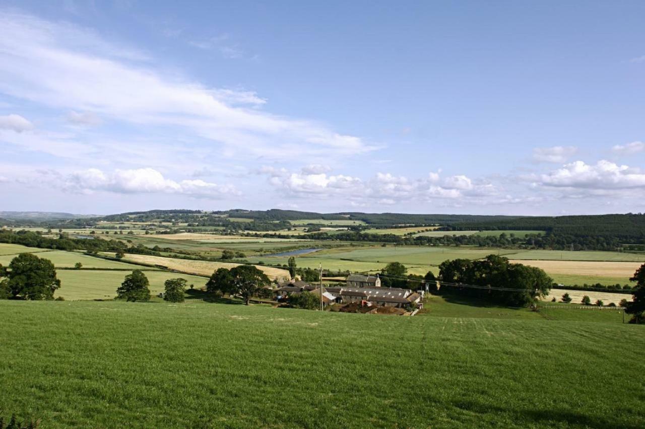 Anick Grange Farm B&B Hexham Ngoại thất bức ảnh